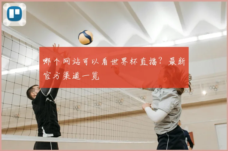 哪个网站可以看世界杯直播？最新官方渠道一览