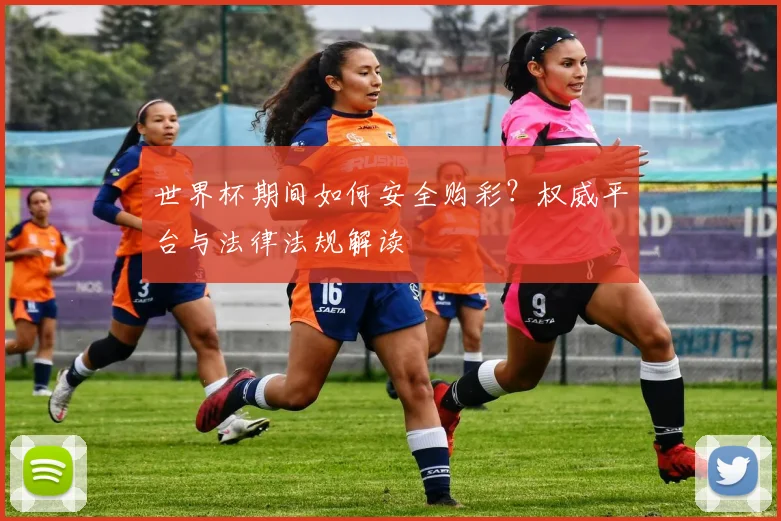 世界杯期间如何安全购彩？权威平台与法律法规解读