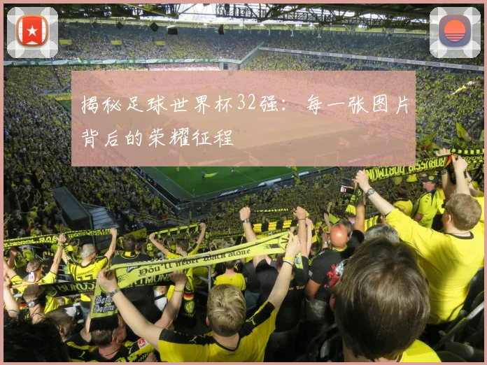 揭秘足球世界杯32强：每一张图片背后的荣耀征程