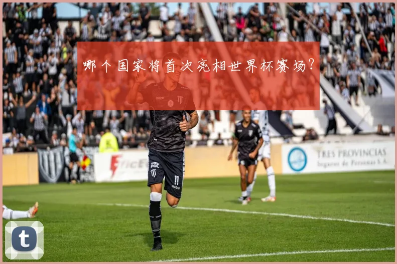 哪个国家将首次亮相世界杯赛场？