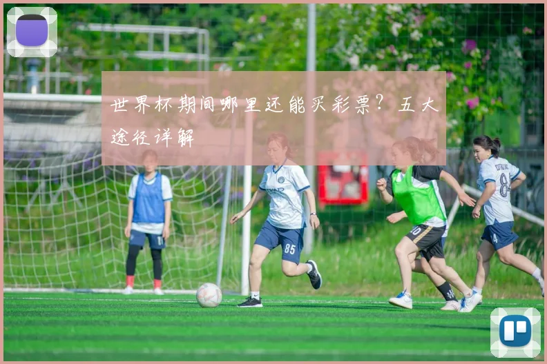 世界杯期间哪里还能买彩票？五大途径详解