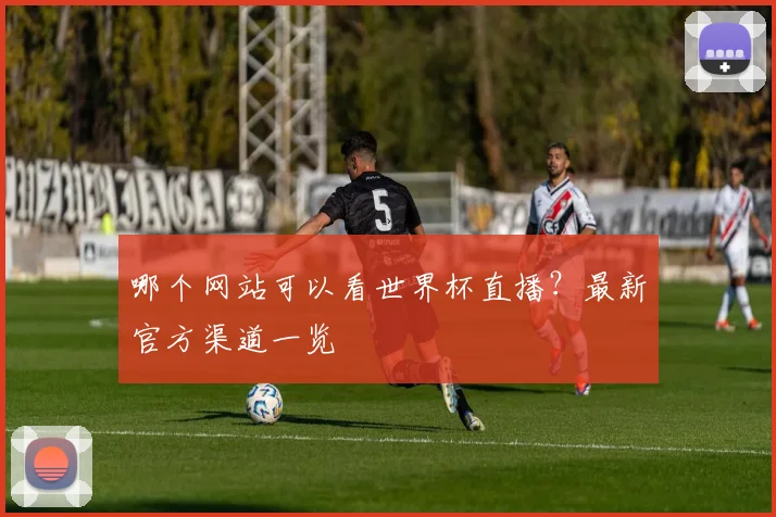 哪个网站可以看世界杯直播？最新官方渠道一览