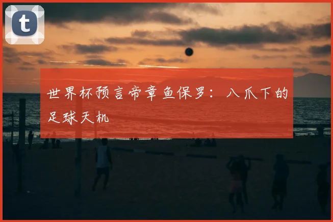 世界杯预言帝章鱼保罗:八爪下的足球天机