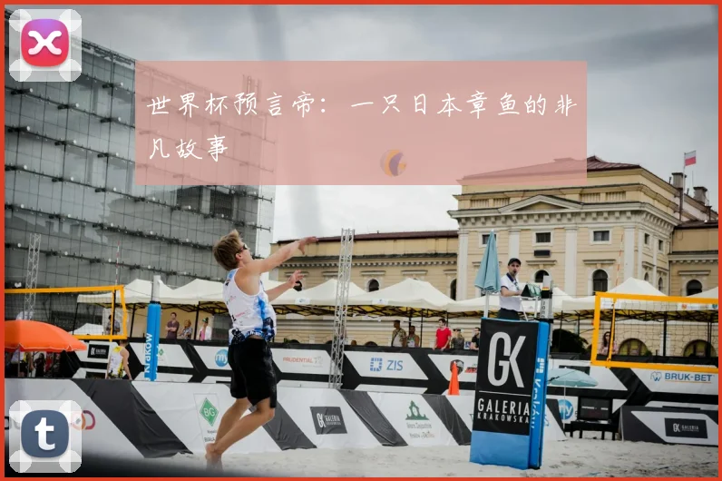 世界杯预言帝：一只日本章鱼的非凡故事