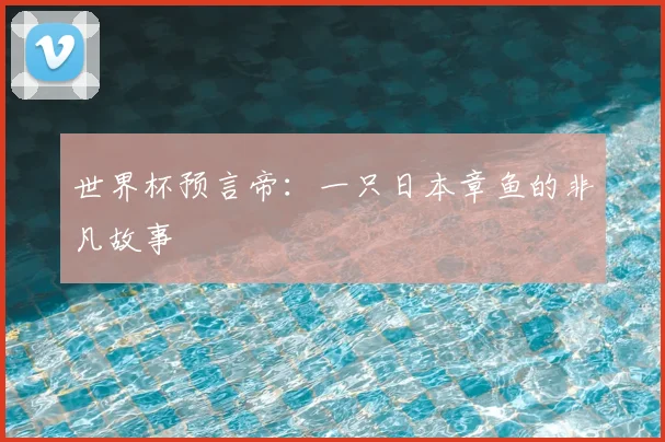 世界杯预言帝：一只日本章鱼的非凡故事
